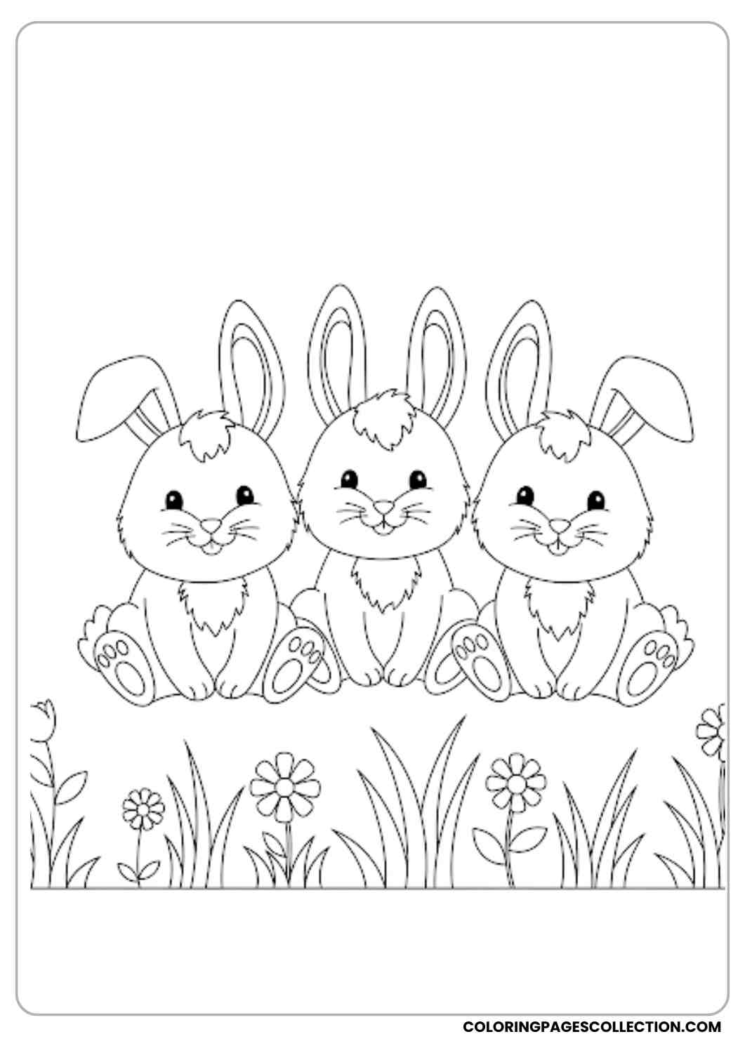 three bunnies sitting side by side coloring page