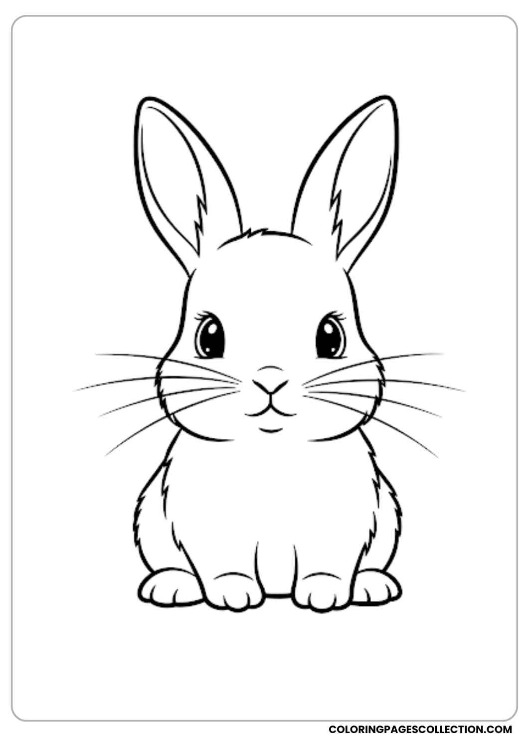 baby bunny sitting simple outline coloring page