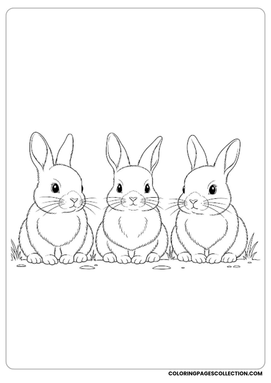 three baby bunnies sitting together coloring page