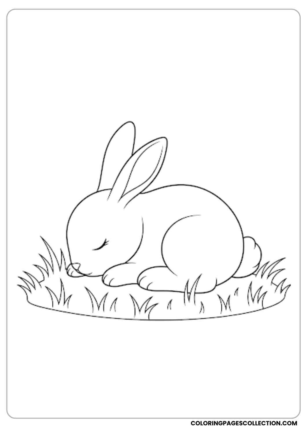baby bunny sleeping on grass coloring page