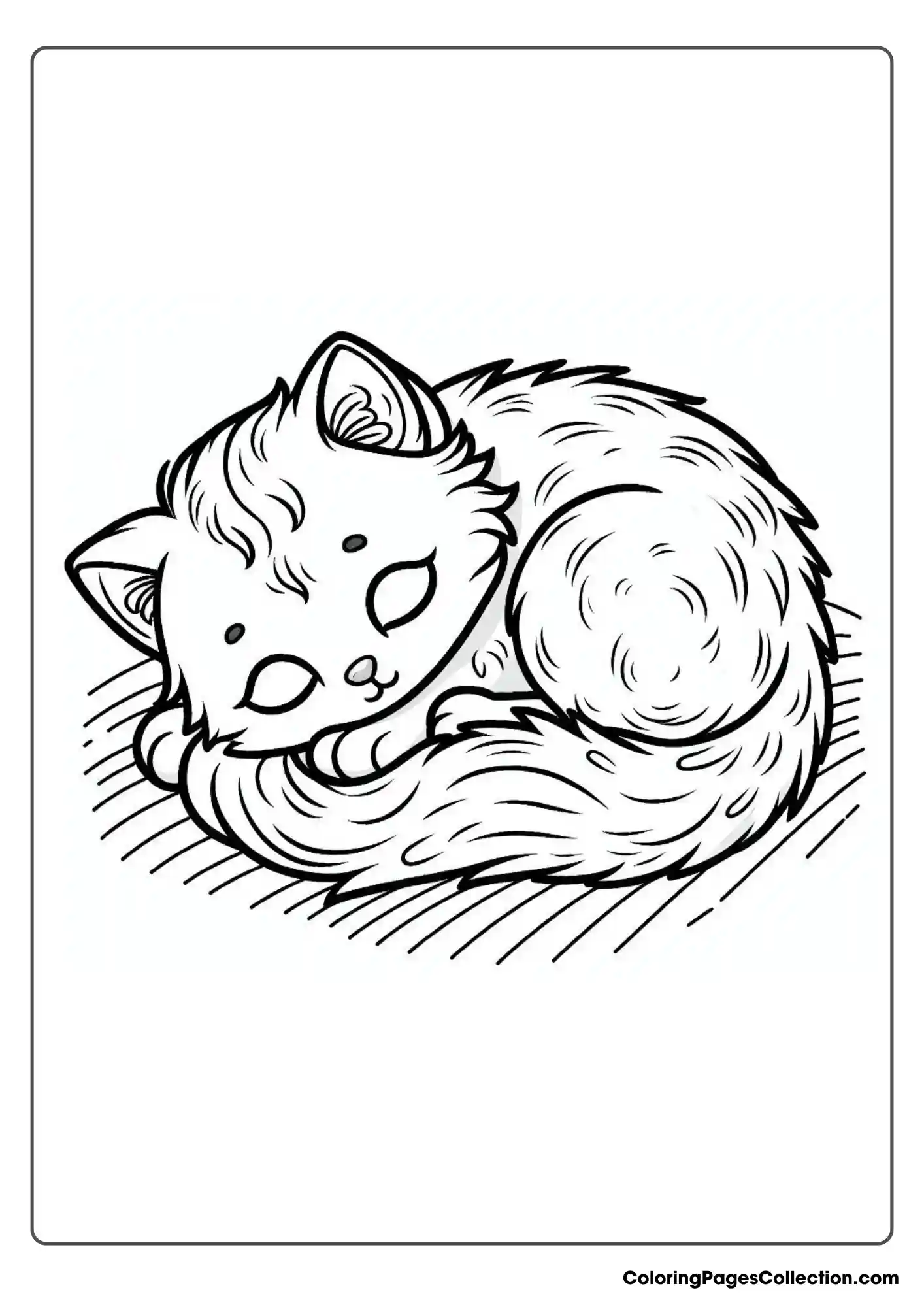 Kitten Curled Up In A Ball