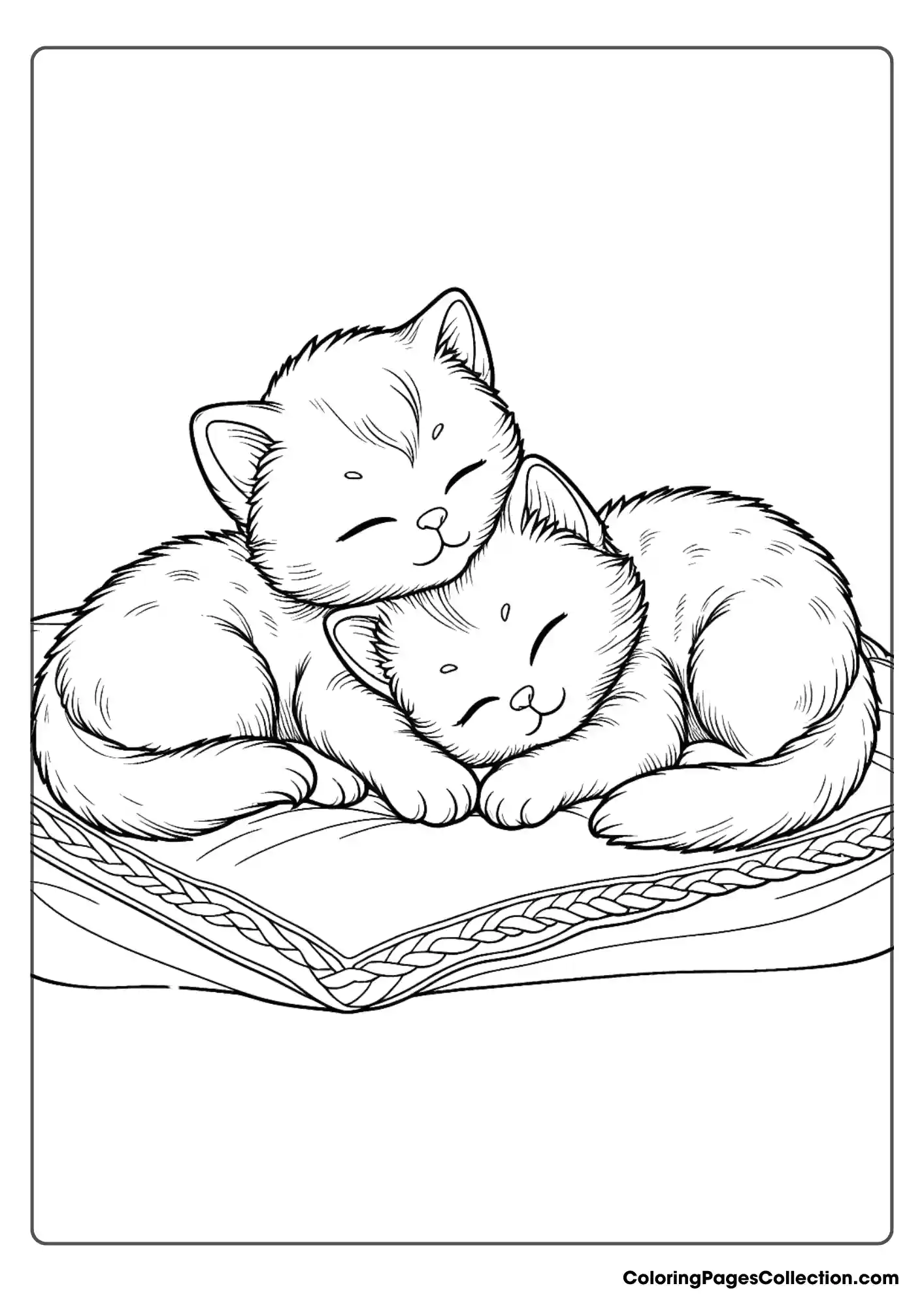 Pair Of Kittens