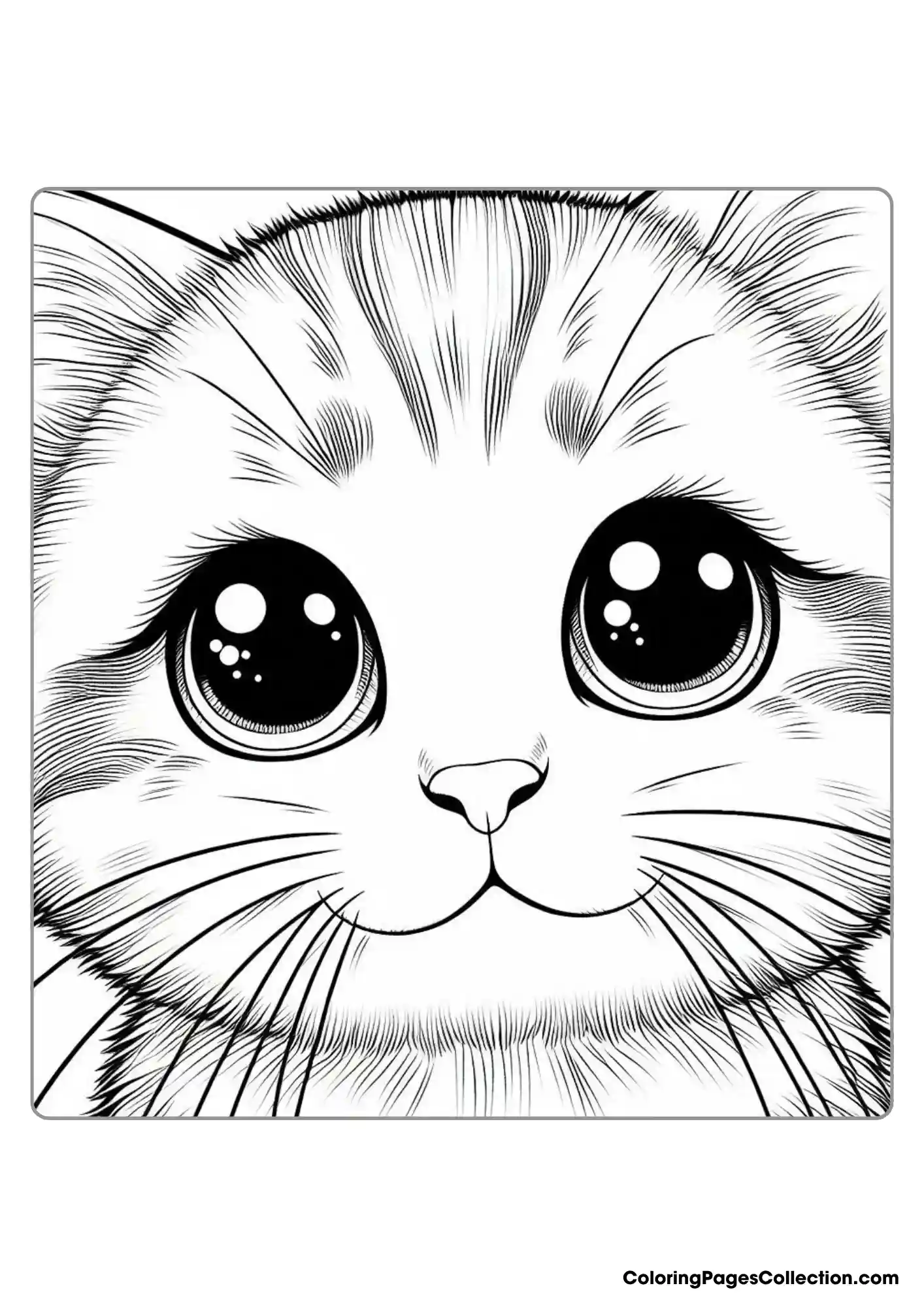 Close-up Of A Cat's Face