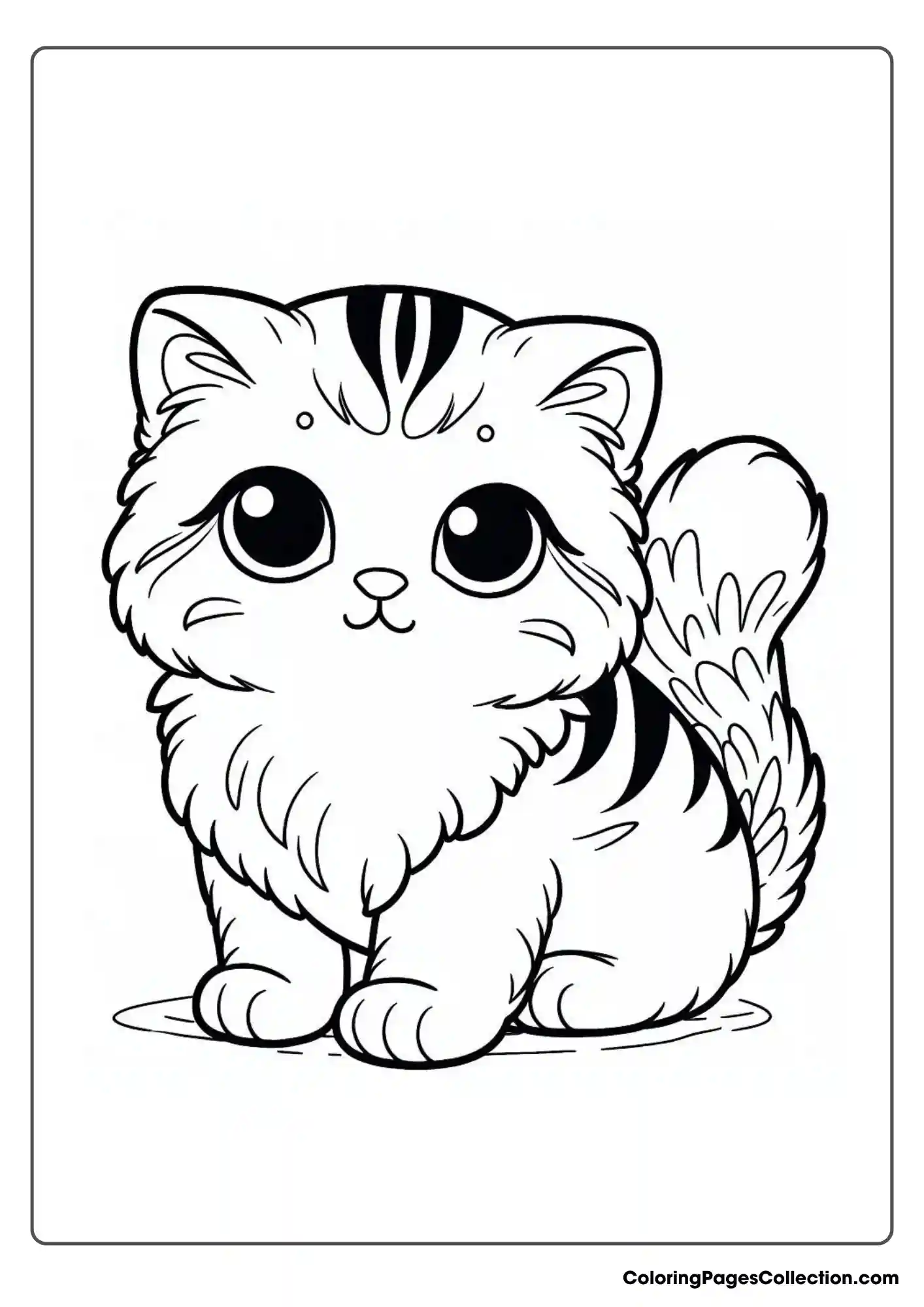 Cute Cat With A Unique Or Rare Breed