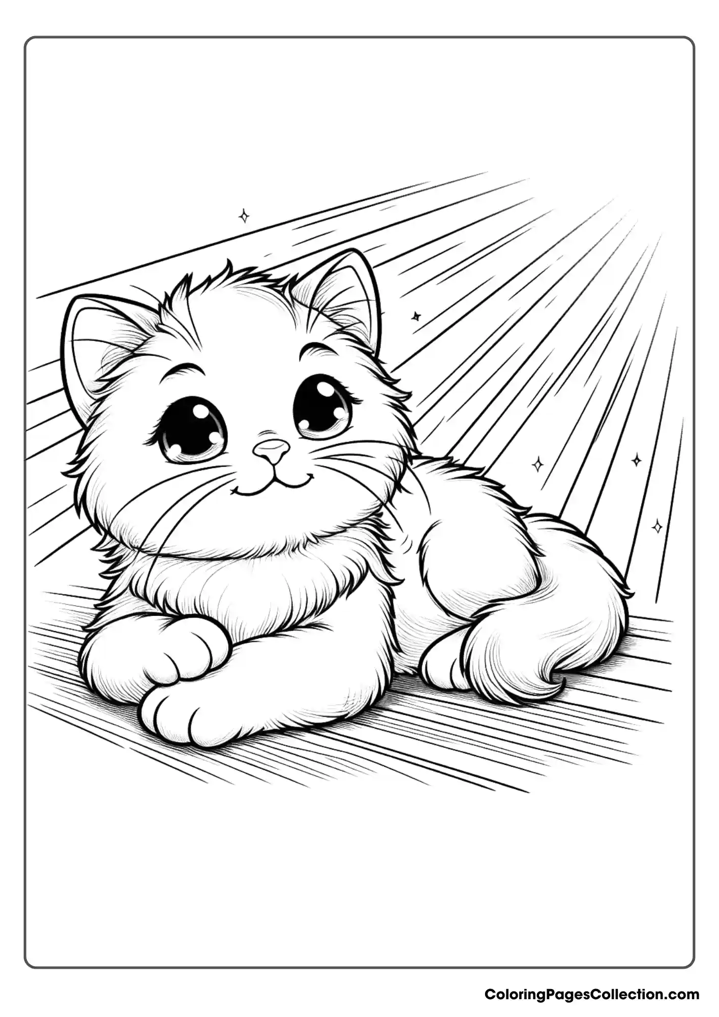 Cute Cat Lounging In A Sunbeam