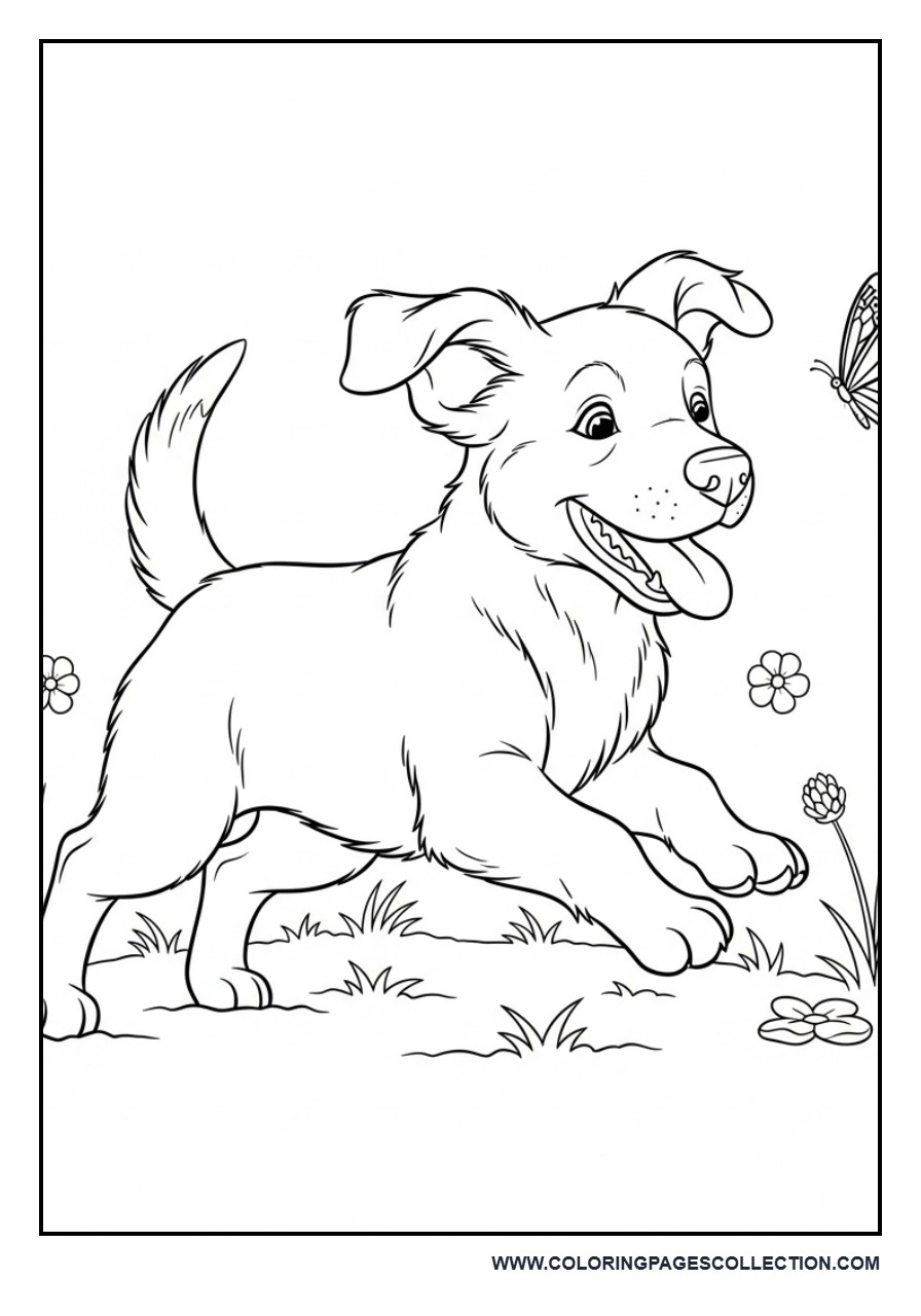 Dog Chasing Butterfly