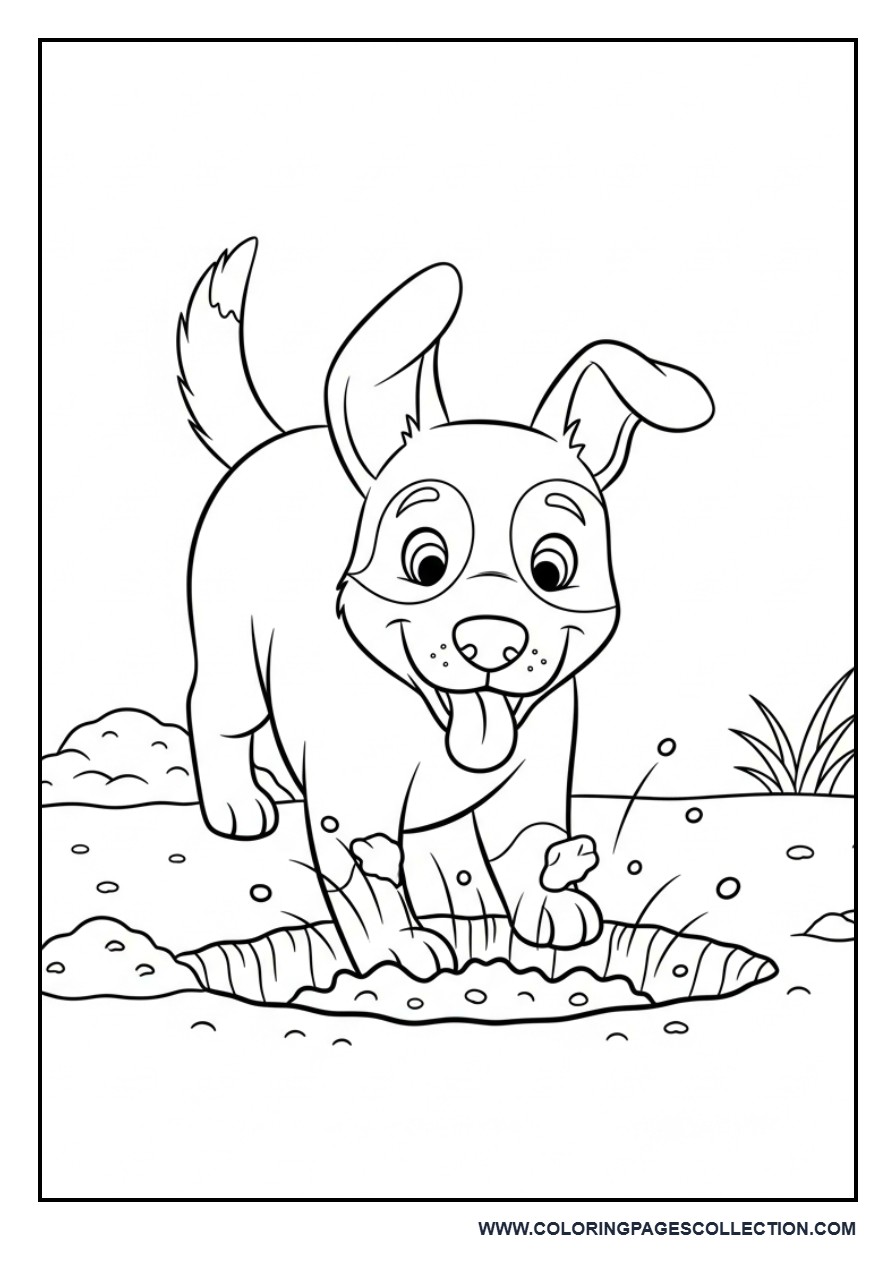 Dog Digging Ground