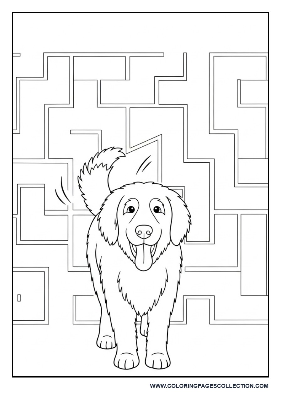 Dog in Simple Maze Background