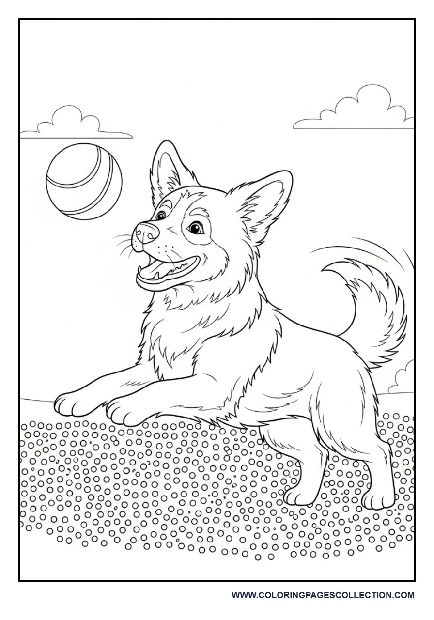 Dog with Ball and Pattern Ground