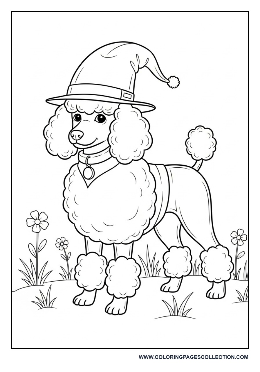 Poodle Dog