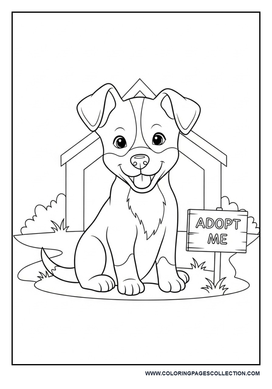 Puppy Adoption Scene