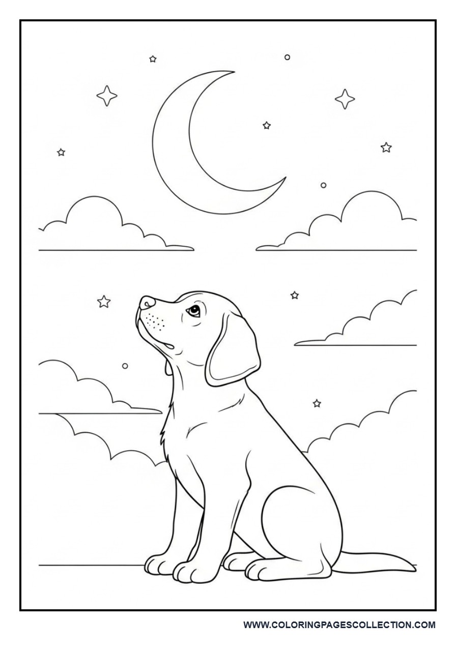 Puppy Looking at Moon