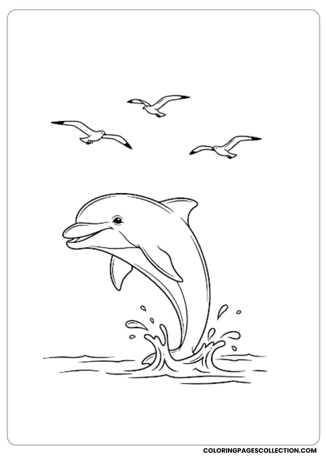 Dolphin with Flying Seagulls coloring page.