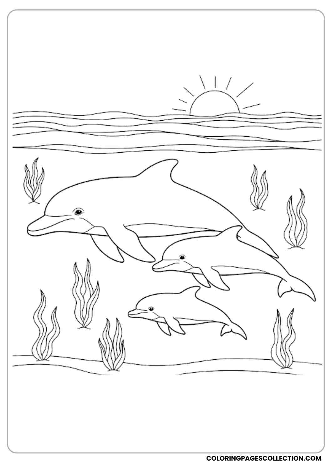 Dolphin Family in Ocean coloring page.