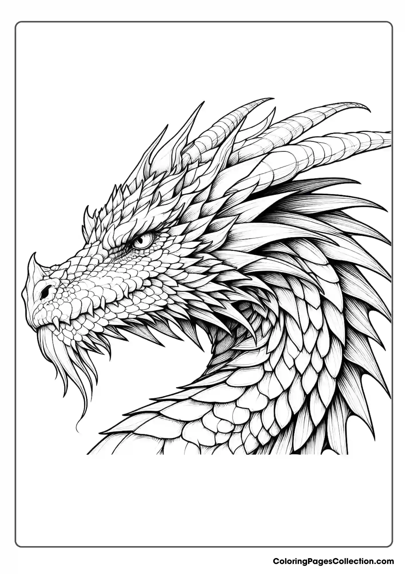 dragon coloring page
