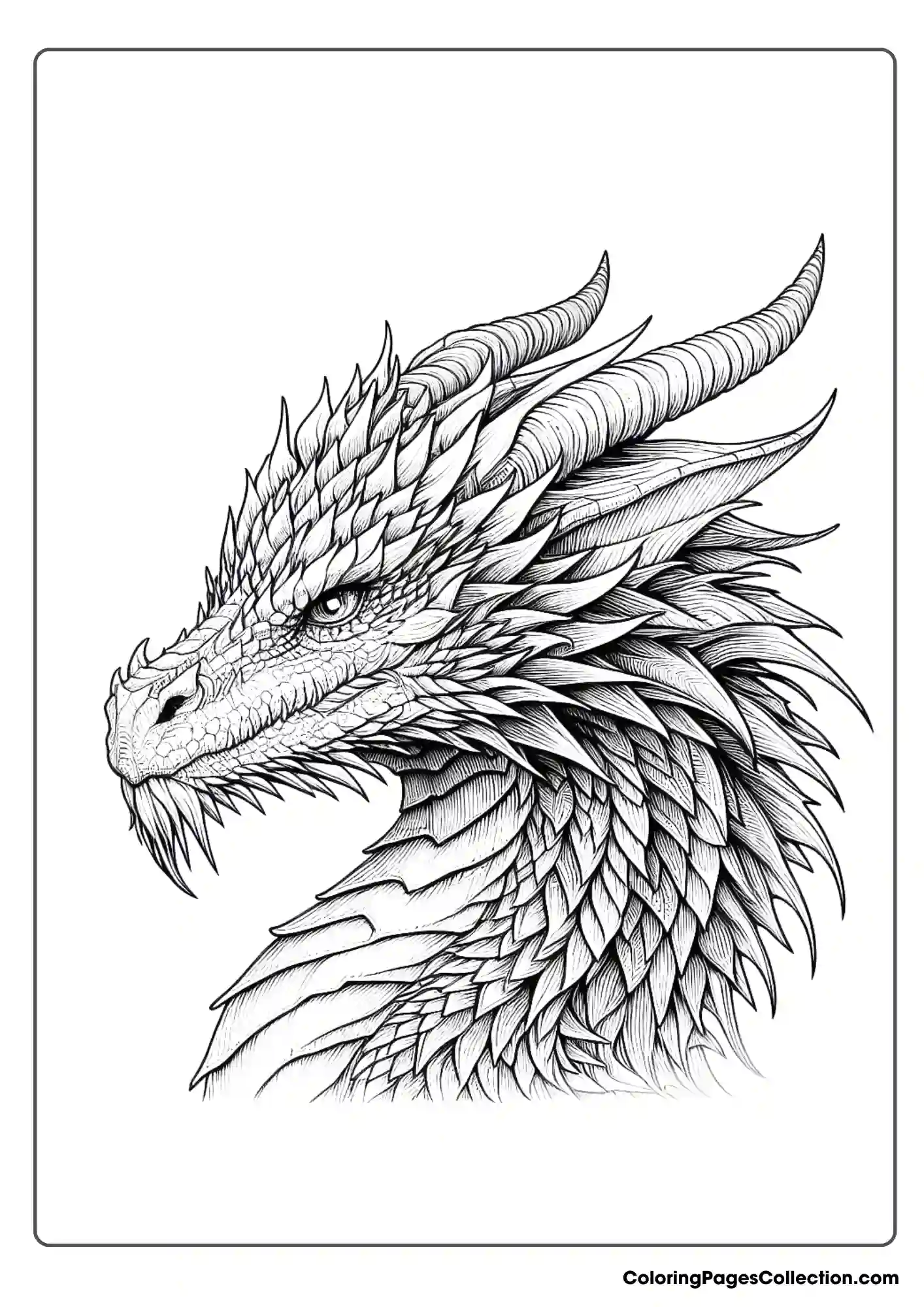 dragon coloring page