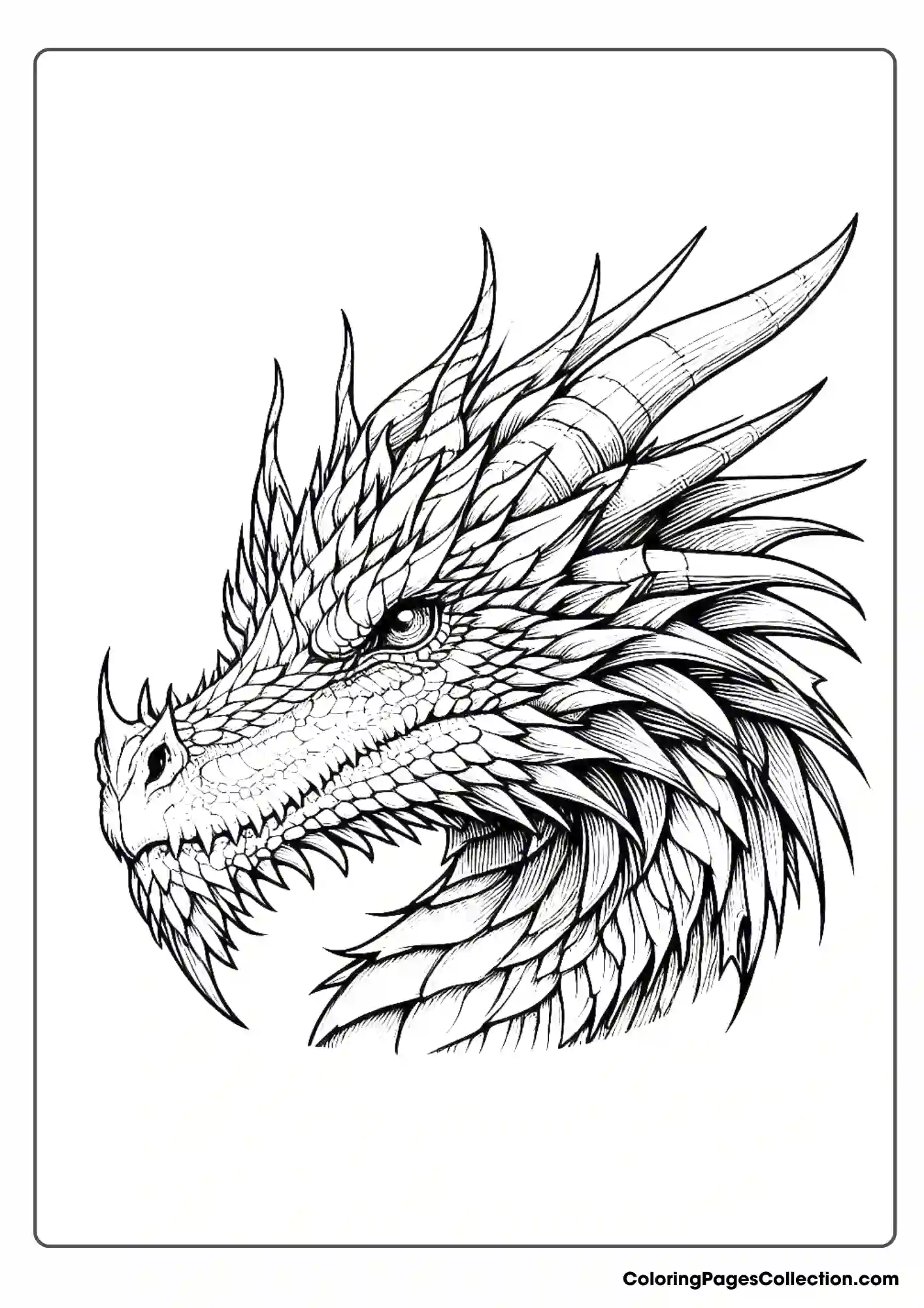 dragon coloring page