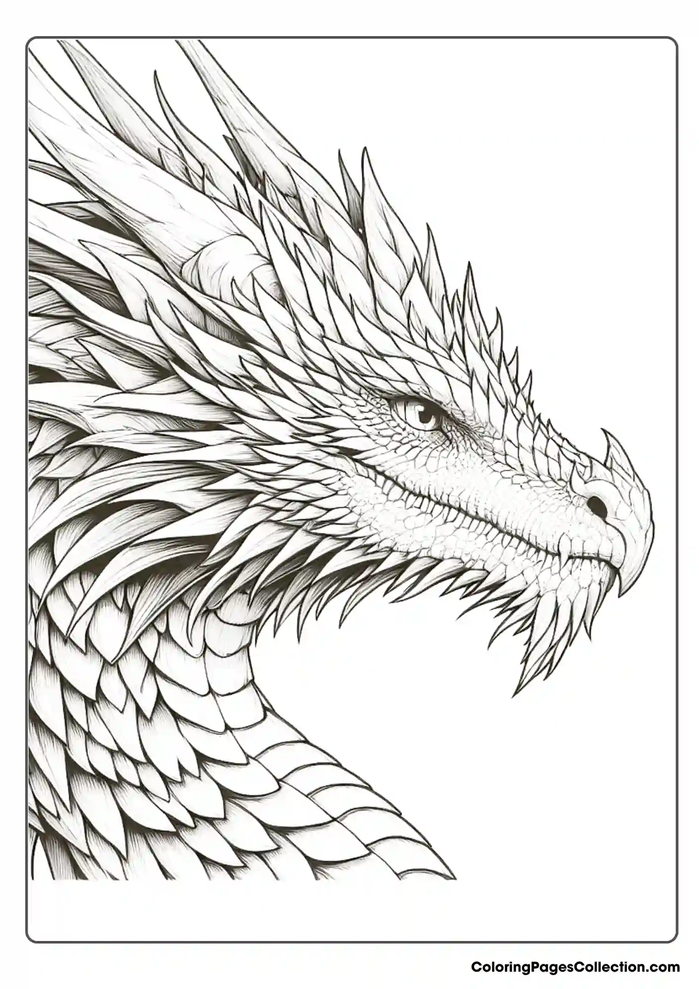 dragon coloring page