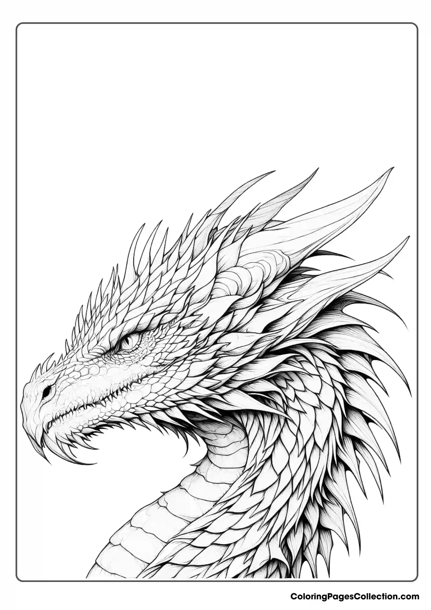 dragon coloring page