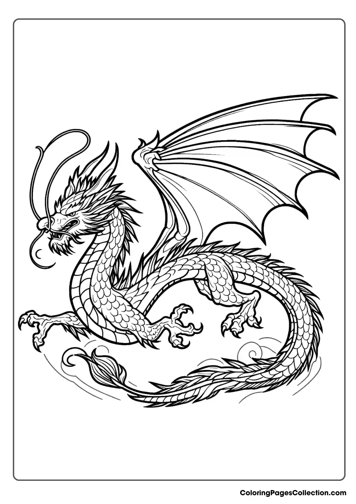 dragon coloring page