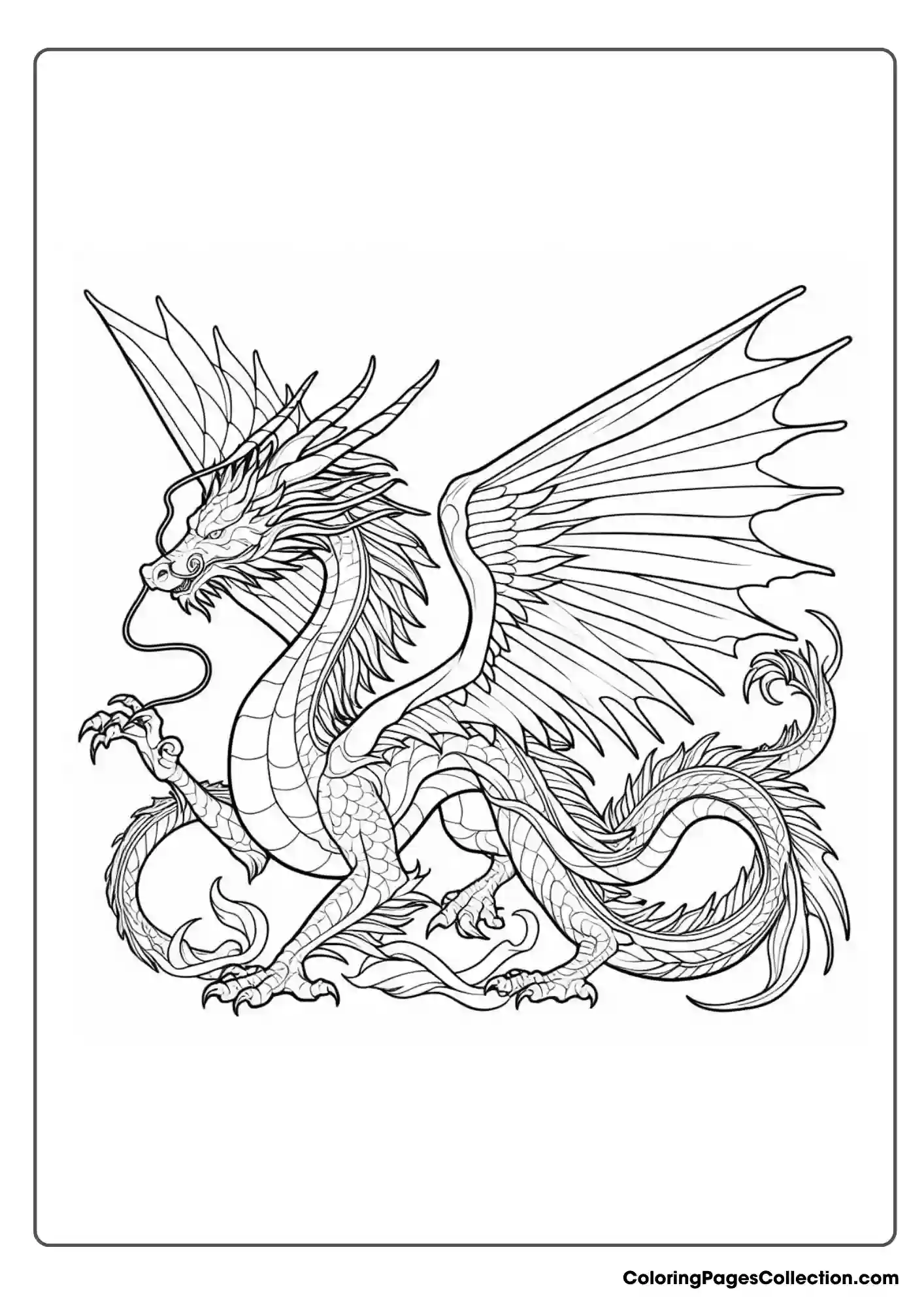 dragon coloring page