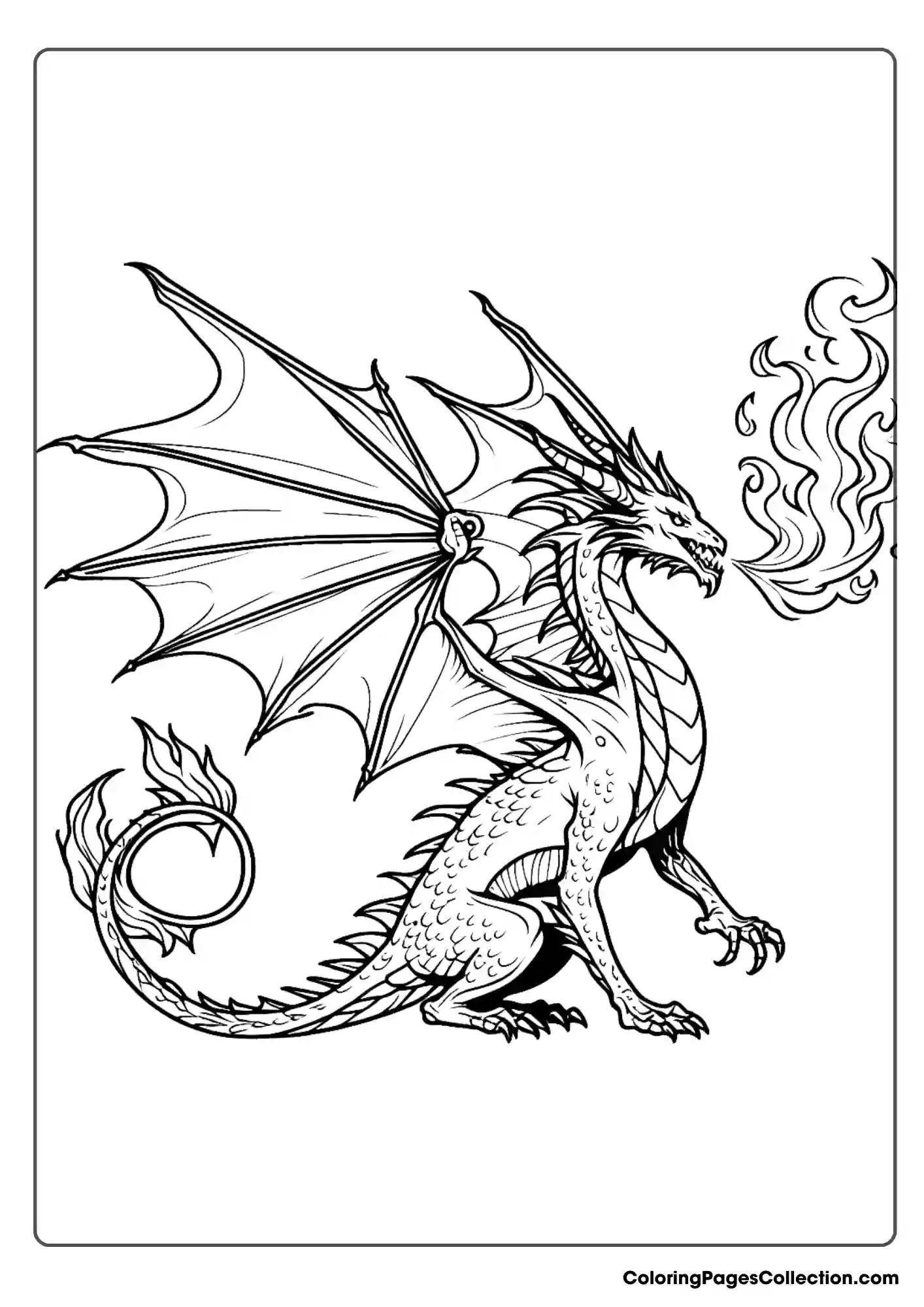 dragon coloring page