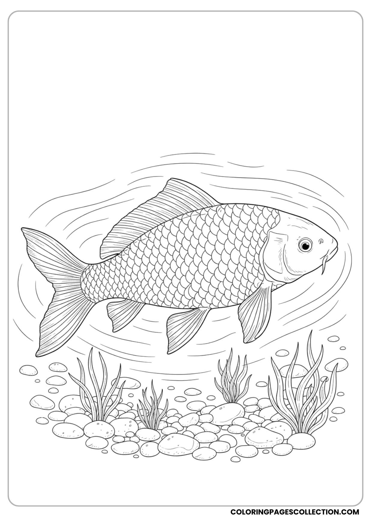 A special realistic fish in water coloring page is ready to shine with your favorite shades.
