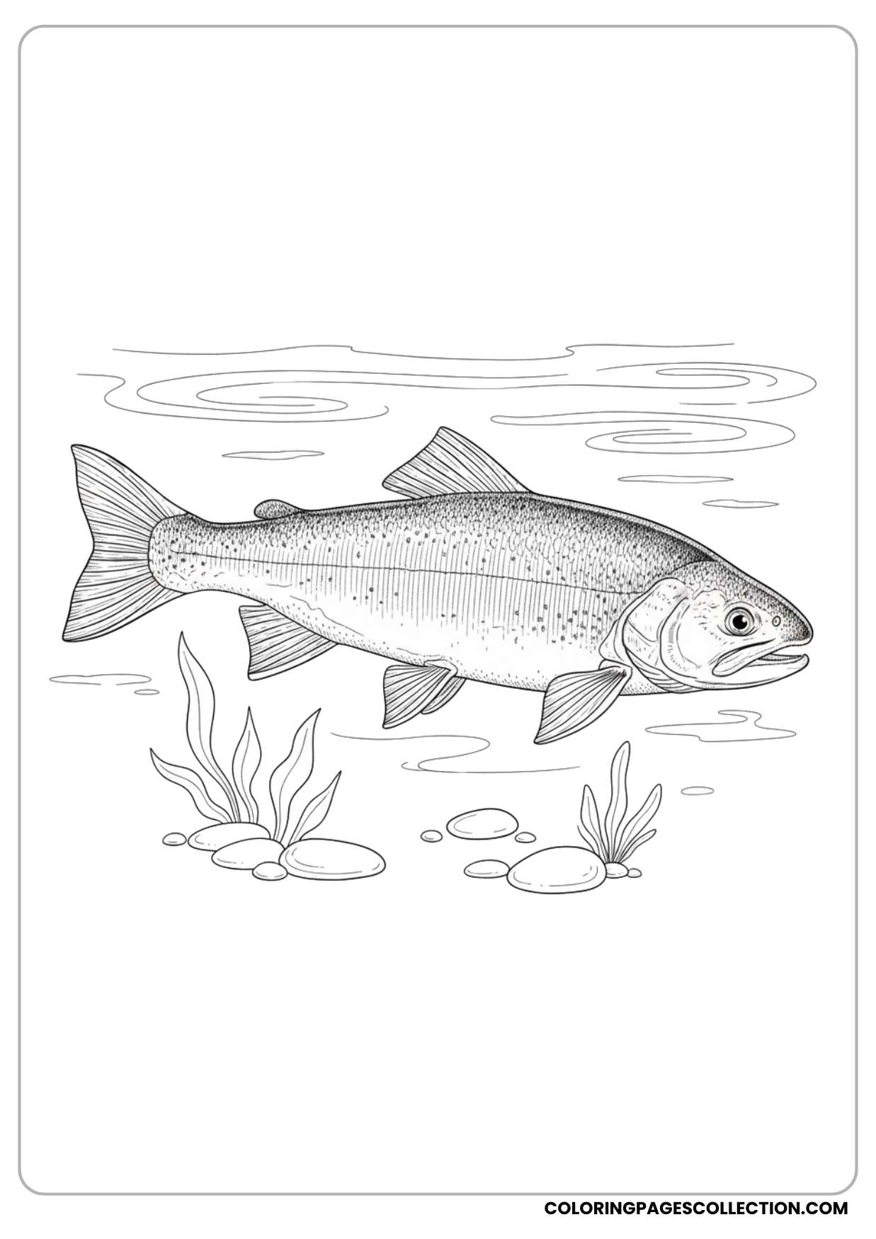 A calming realistic fish side view coloring page is here for you to color slowly and peacefully.
