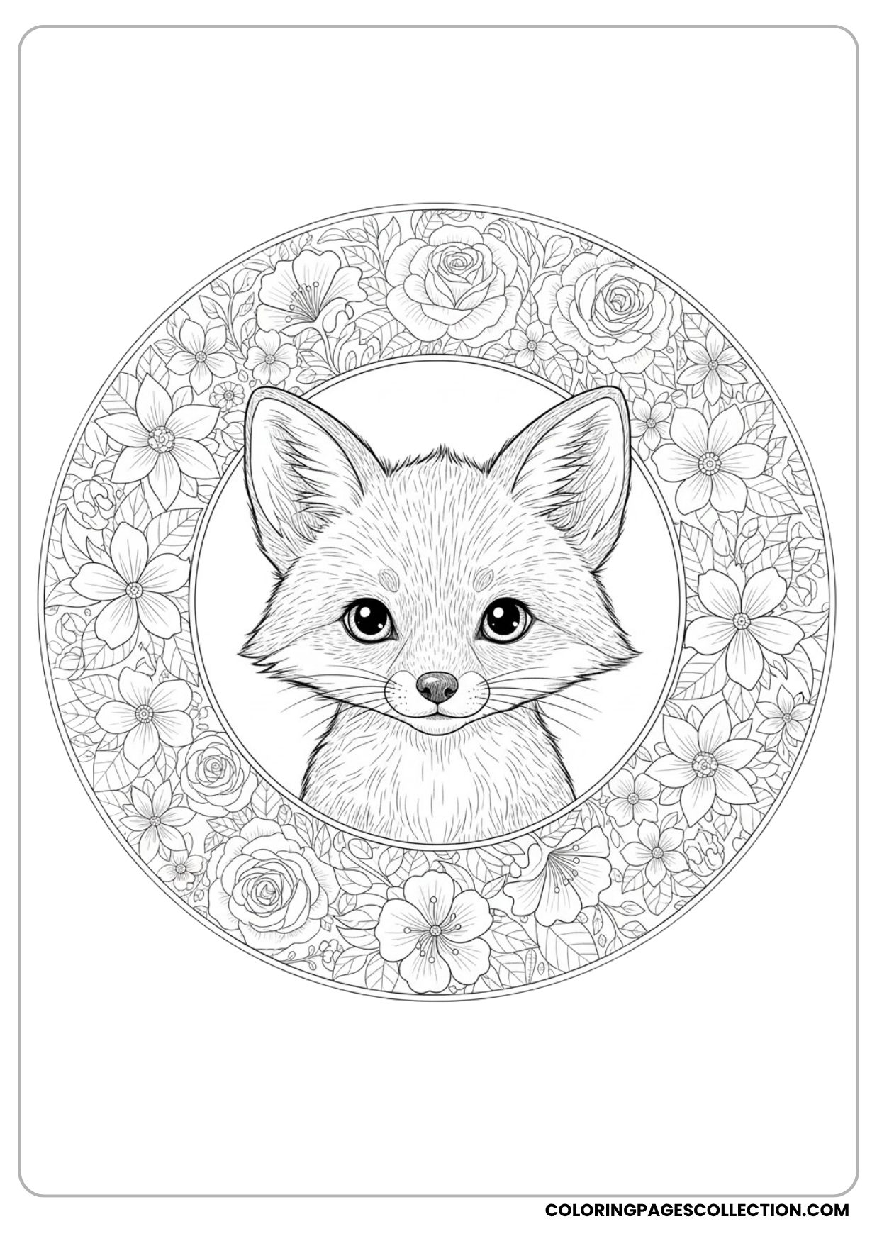 Cute Fox with Floral Border Coloring Page
