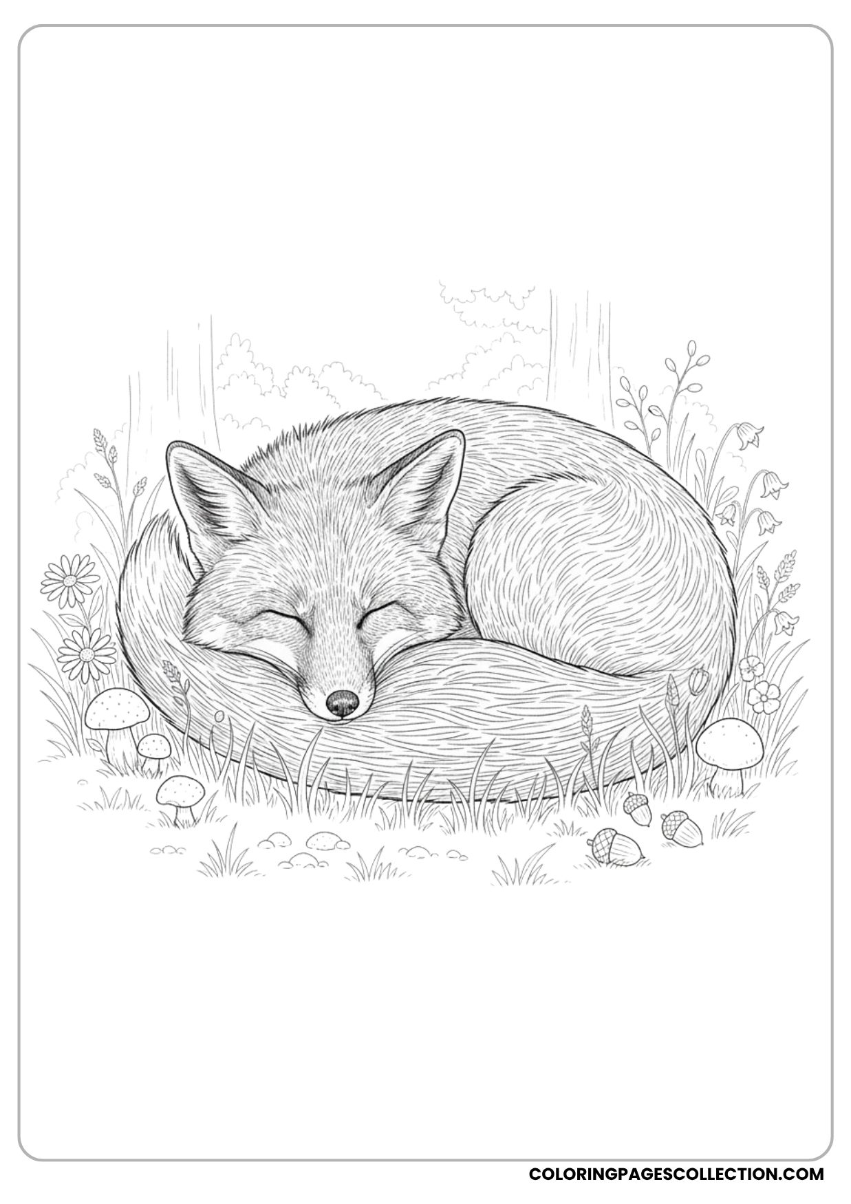 Resting Fox Coloring Page