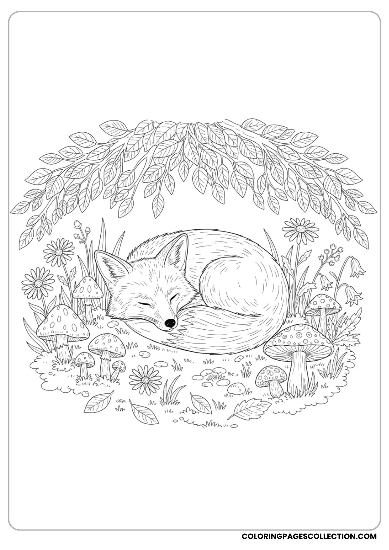 Sleeping Fox Coloring Page