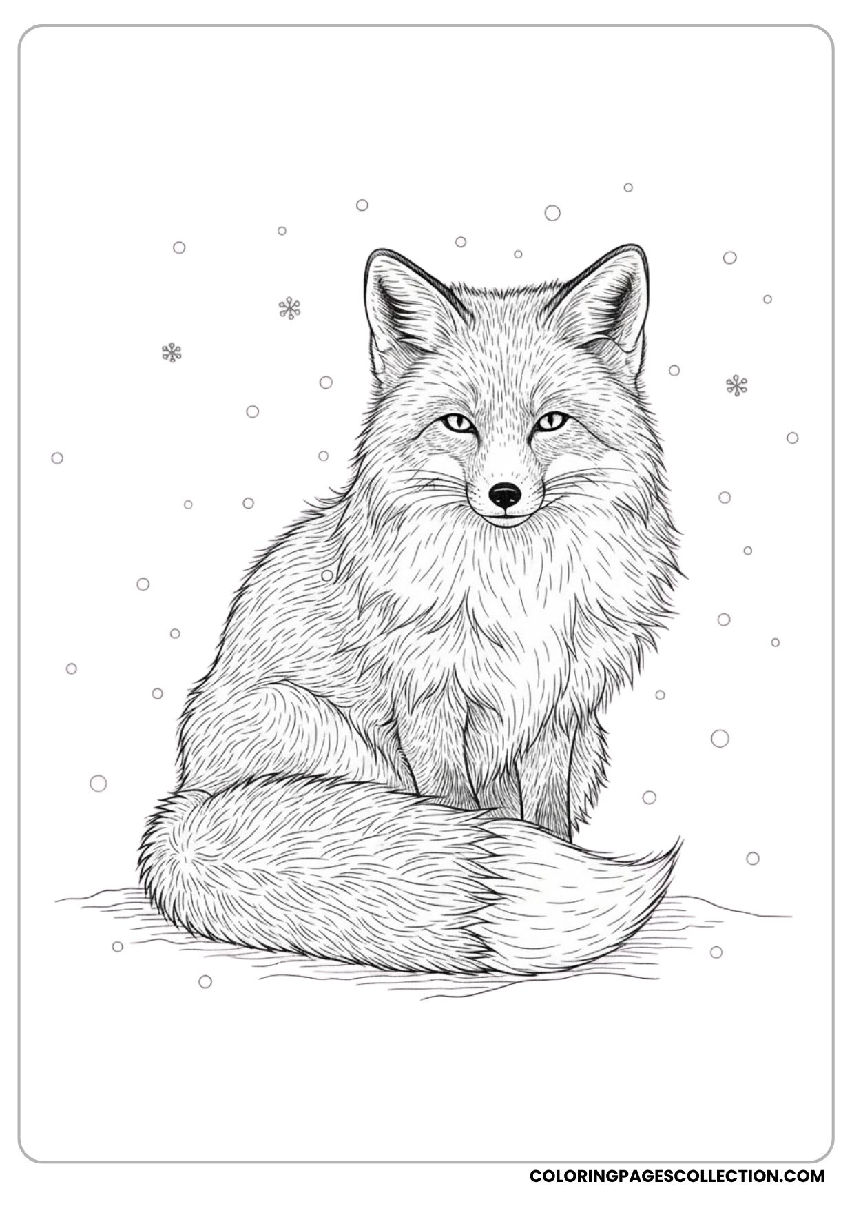 Winter Fox Sitting Coloring Page