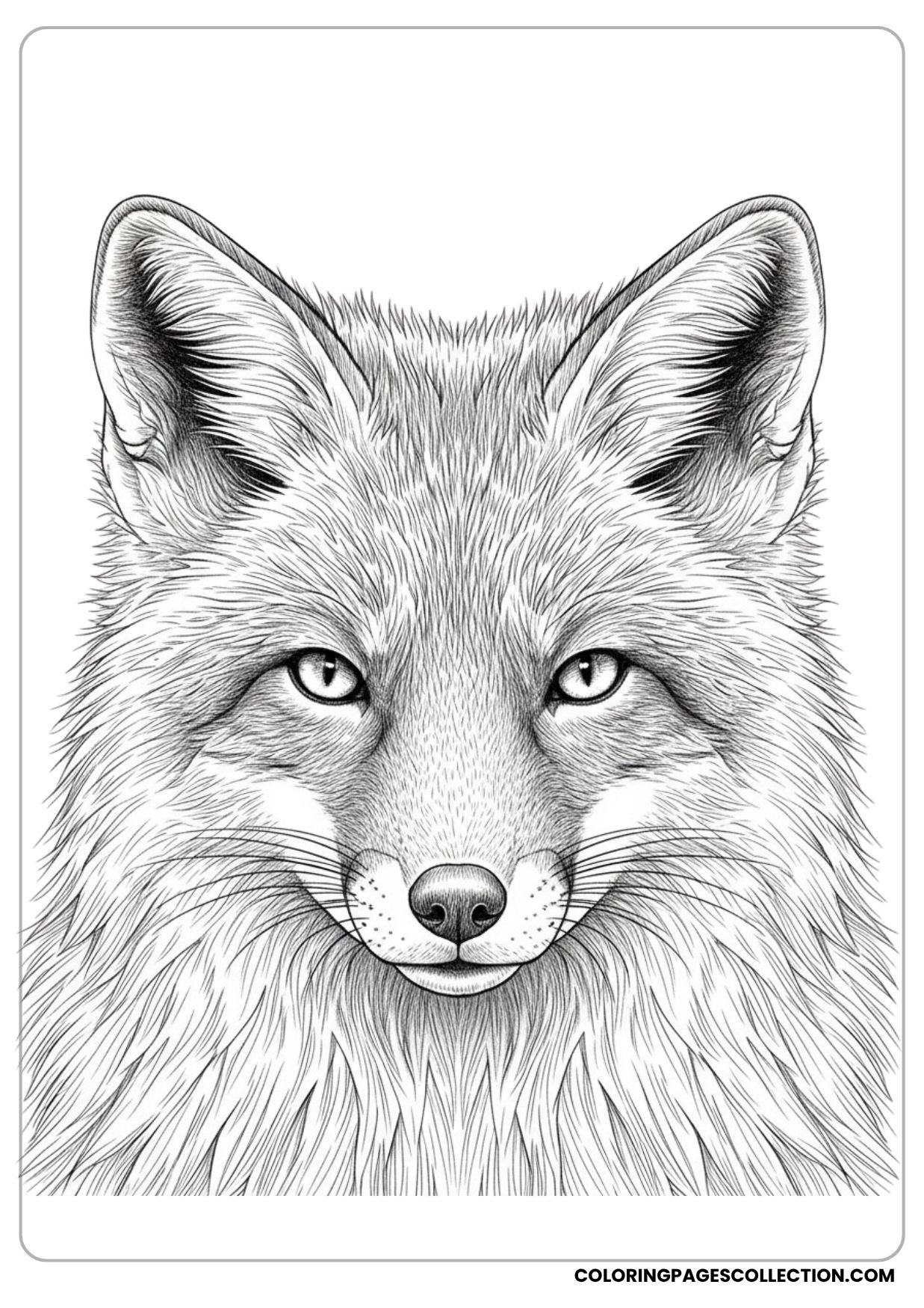 Fluffy Fox Portrait Coloring Page