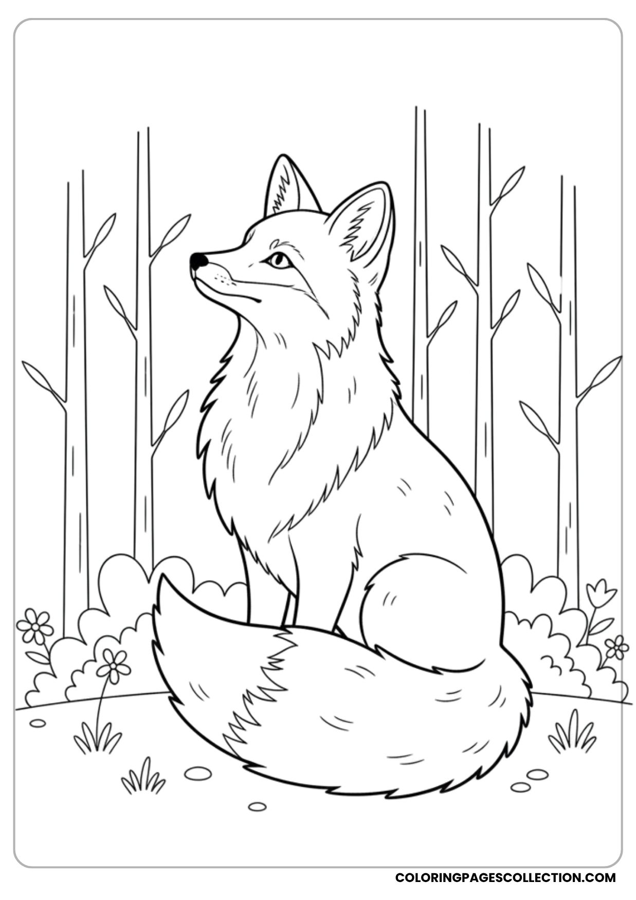 Fox Looking Up Coloring Page