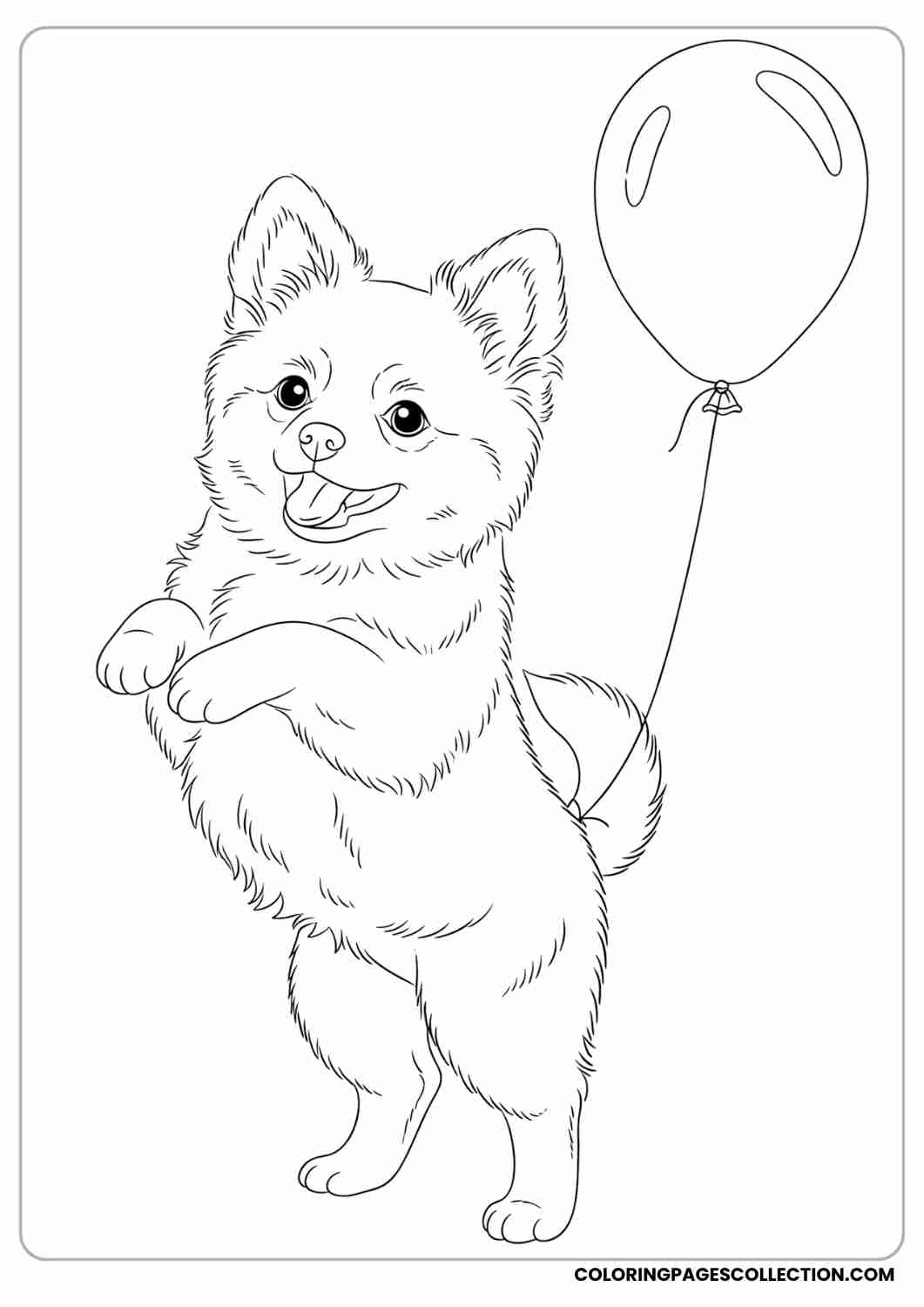 Puppy standing on its hind legs with a balloon tied to its tail, thin stroke