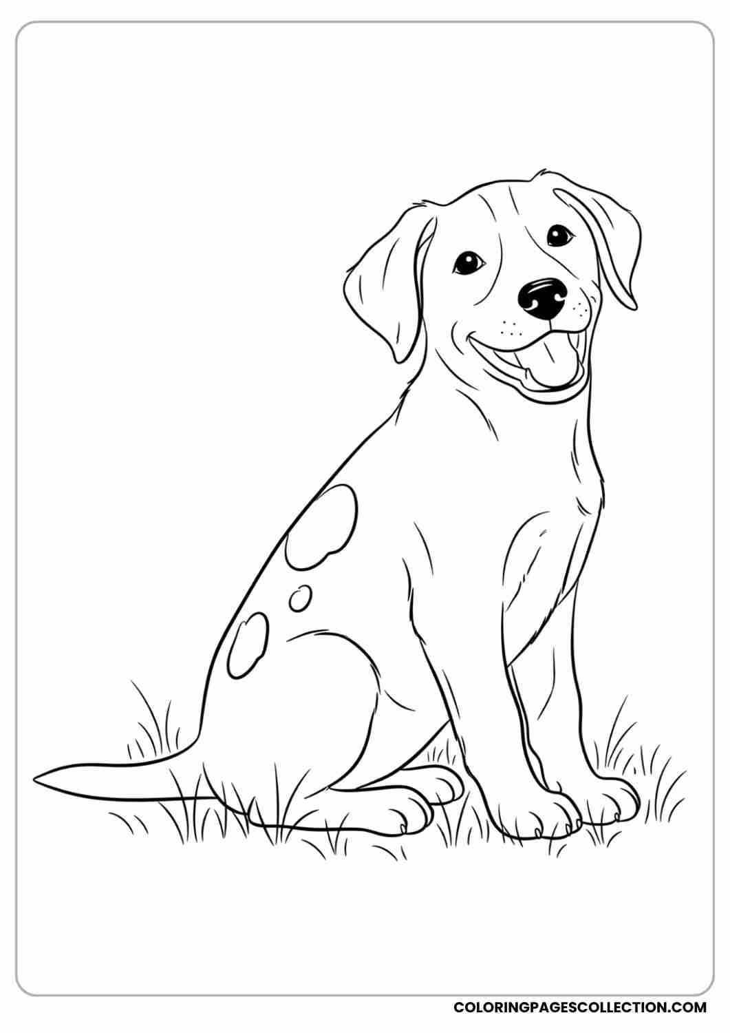 Smiling puppy with spots on its back, sitting on the grass, thin stroke