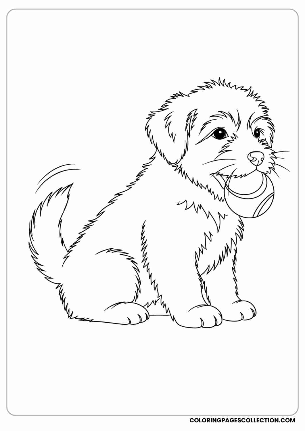 Fluffy puppy holding a ball in its mouth, sitting with wagging tail, thin stroke