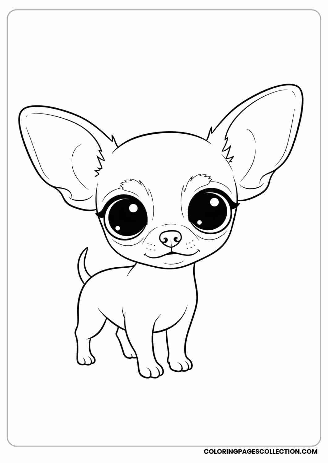 Tiny chihuahua-style puppy standing with big round eyes and oversized ears, thin stroke