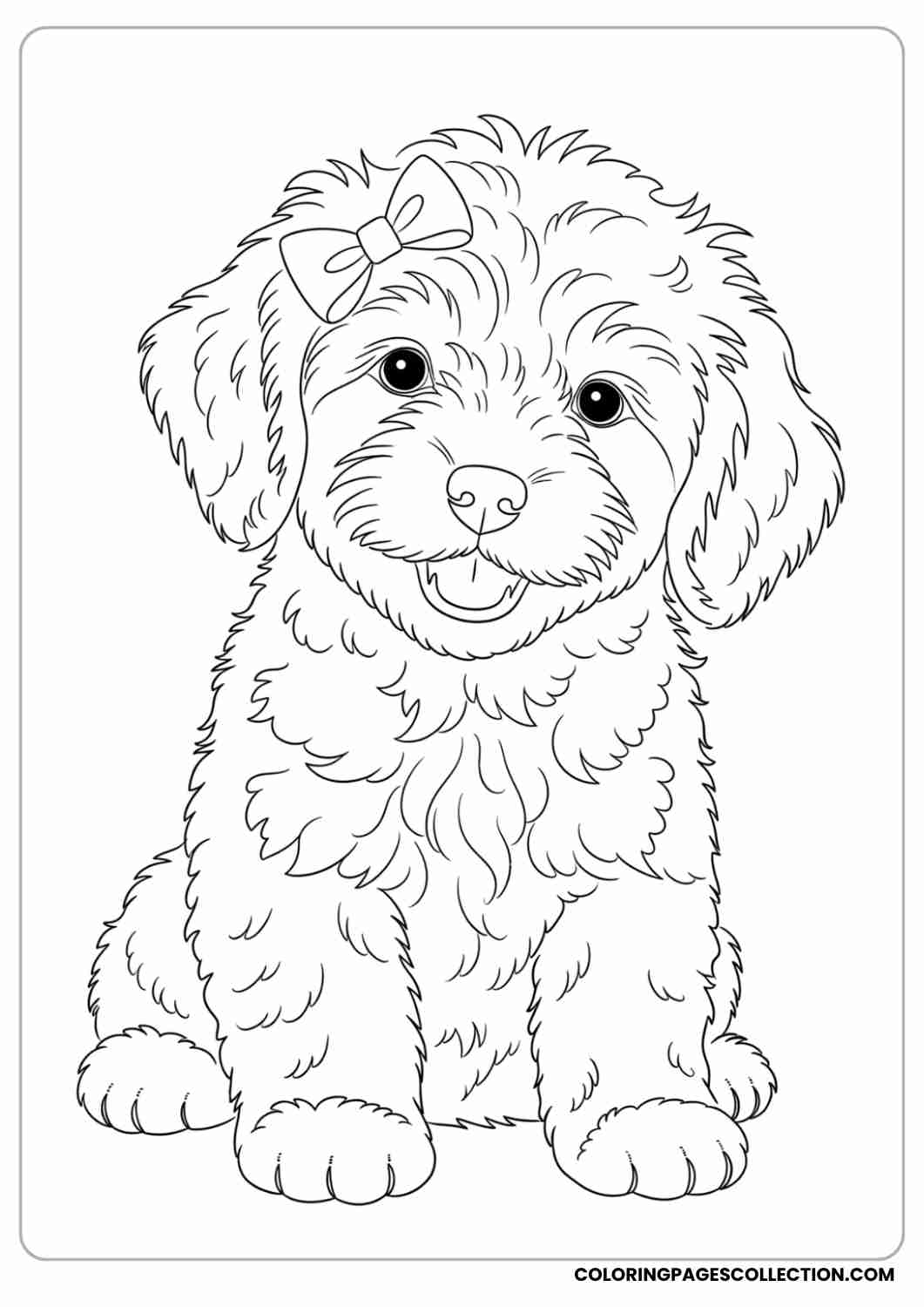 Puppy with curly fur and a small bow on its head, sitting with a happy smile, thin stroke