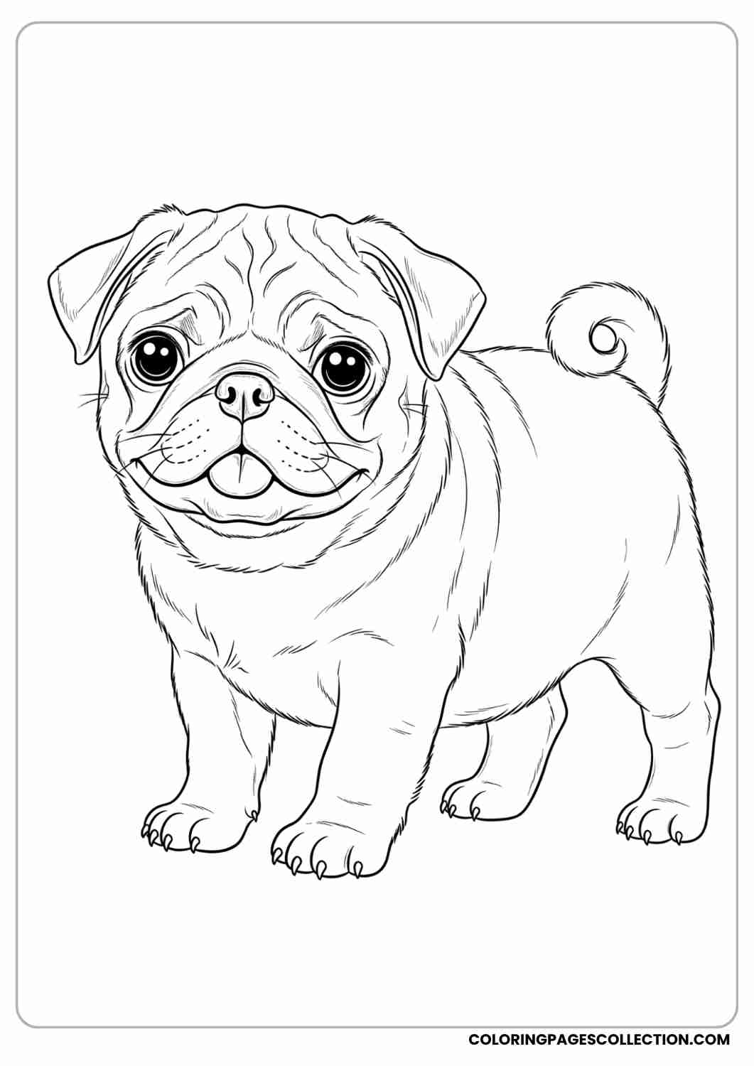 Pug-style puppy with a chubby face, curly tail, and tiny tongue out, thin stroke