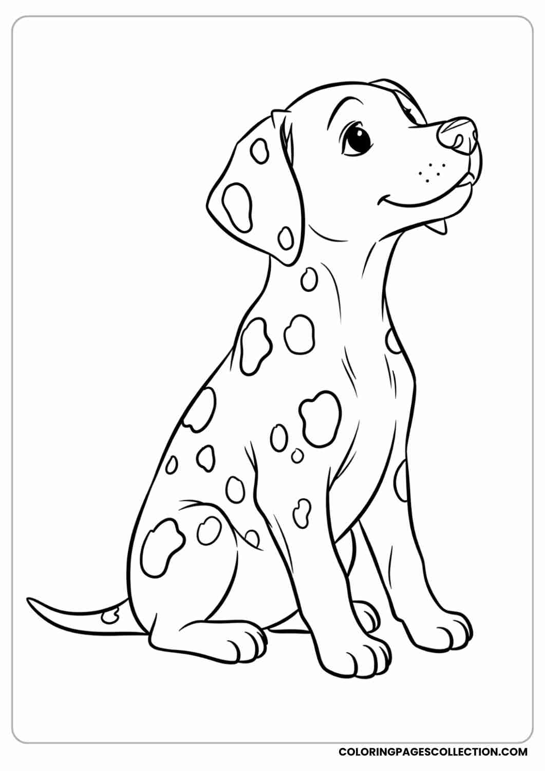 Dalmatian puppy with soft round spots and a cute little nose, sitting happily, thin stroke
