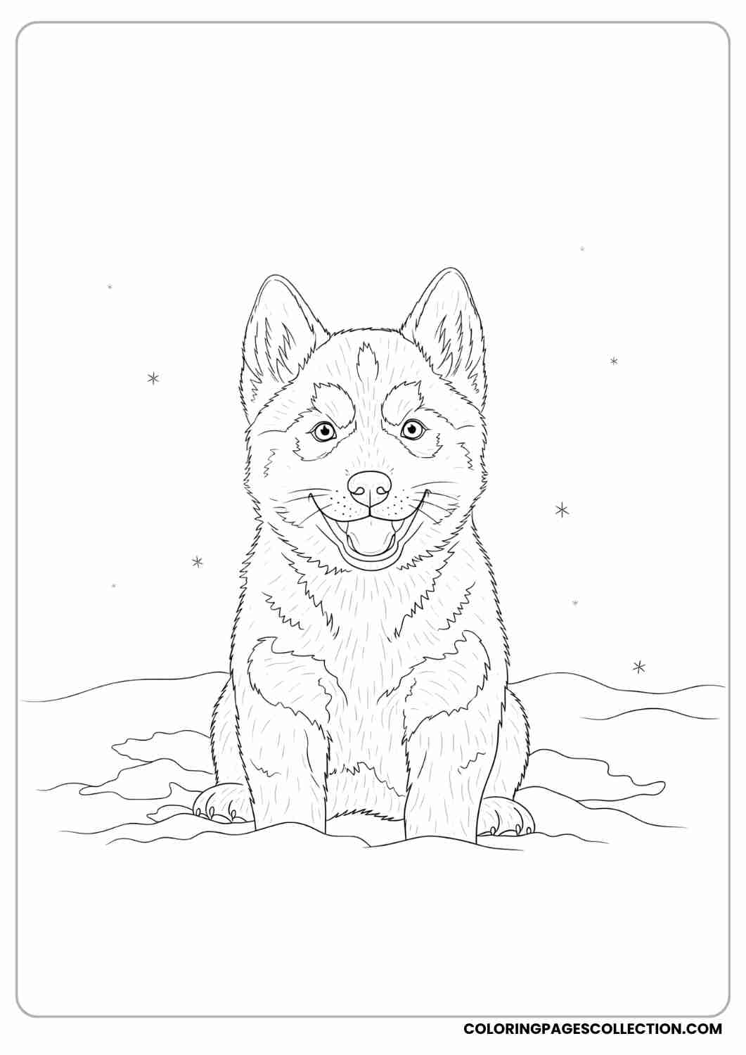 Husky puppy with tiny pointy ears and a playful grin, sitting in snow, thin stroke