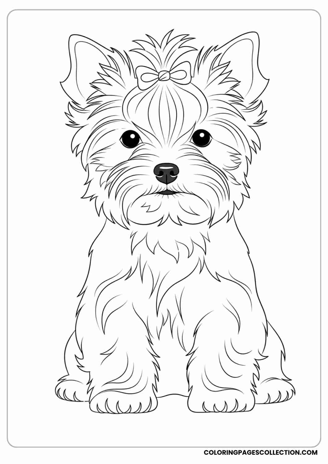 Shih Tzu puppy with puffy round fur and tiny eyes, laying on a pillow, thin stroke
