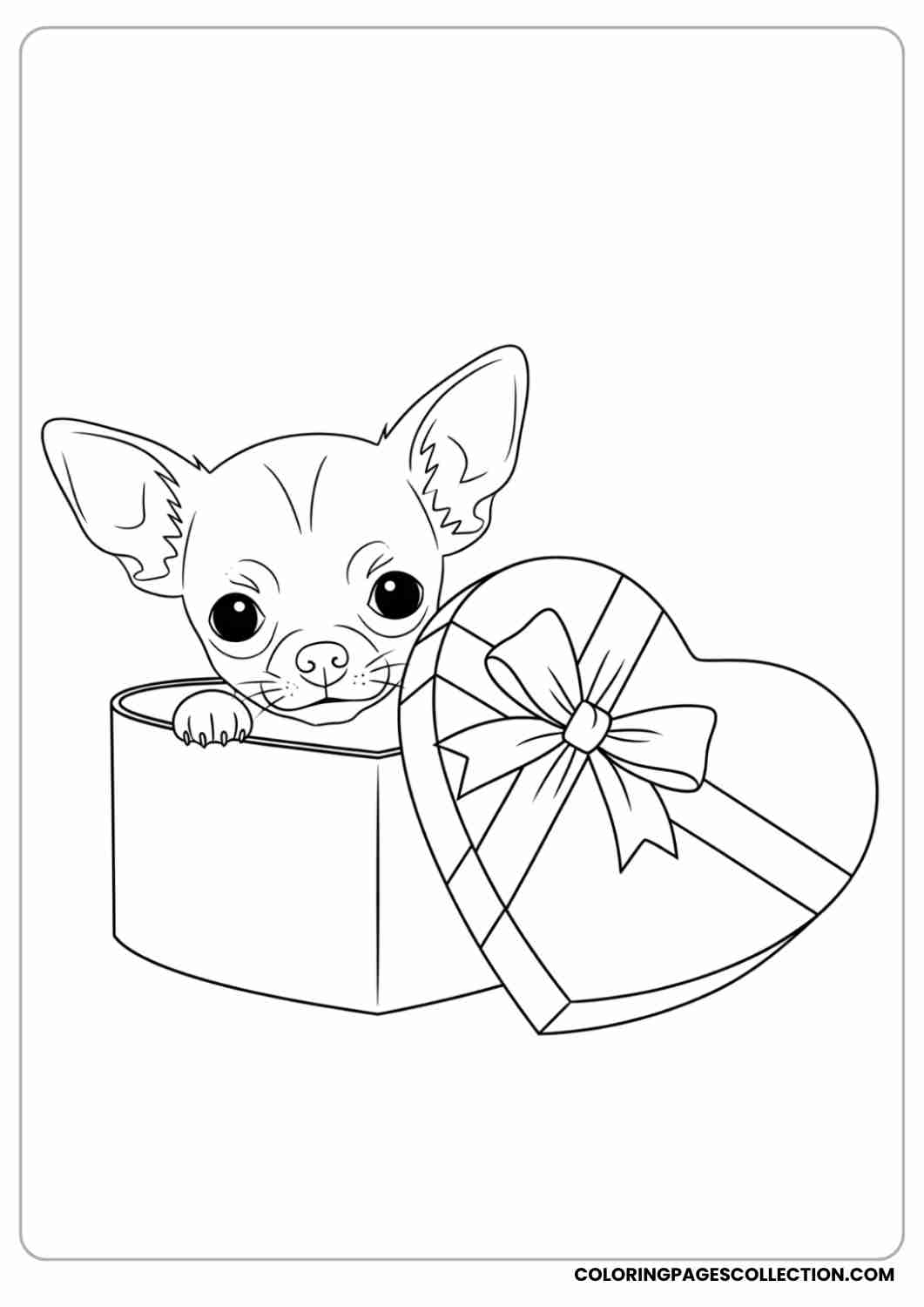 Tiny chihuahua puppy inside a heart-shaped gift box, peeking out shyly, thin stroke
