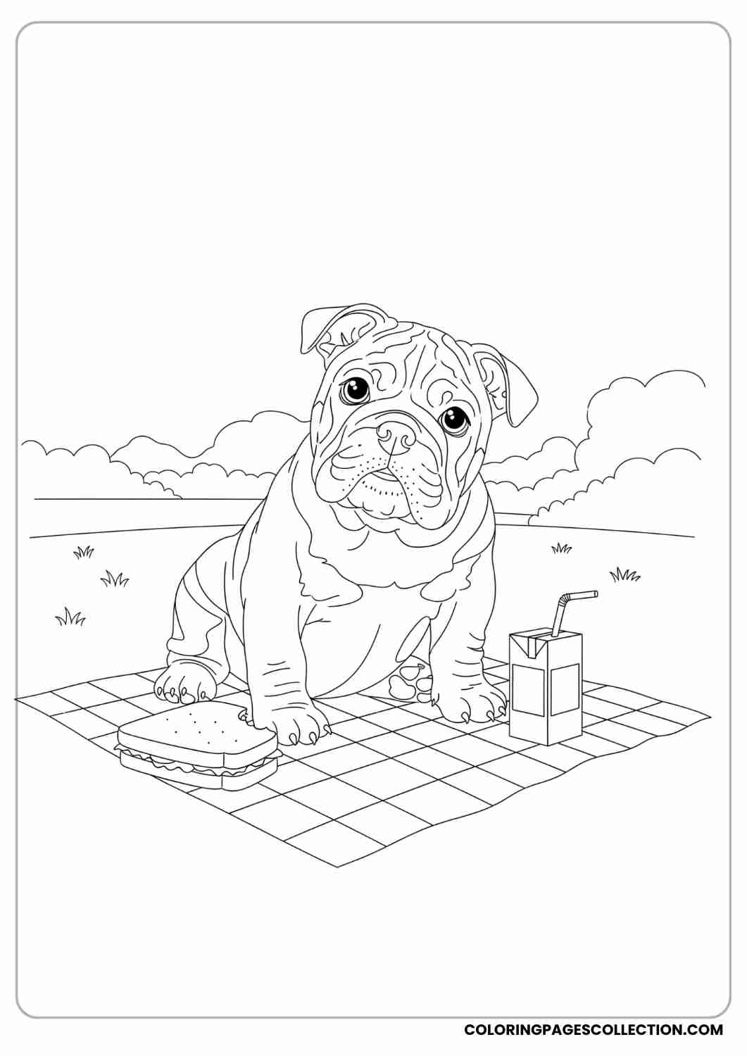 Bulldog puppy sitting on a picnic mat with a sandwich and juice box, looking curious, thin stroke