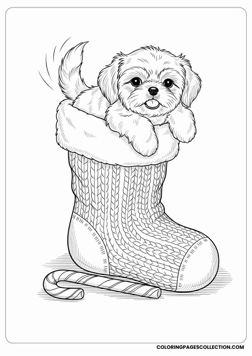 Yorkie puppy in a raincoat and boots, jumping into a puddle with splashes around, thin stroke