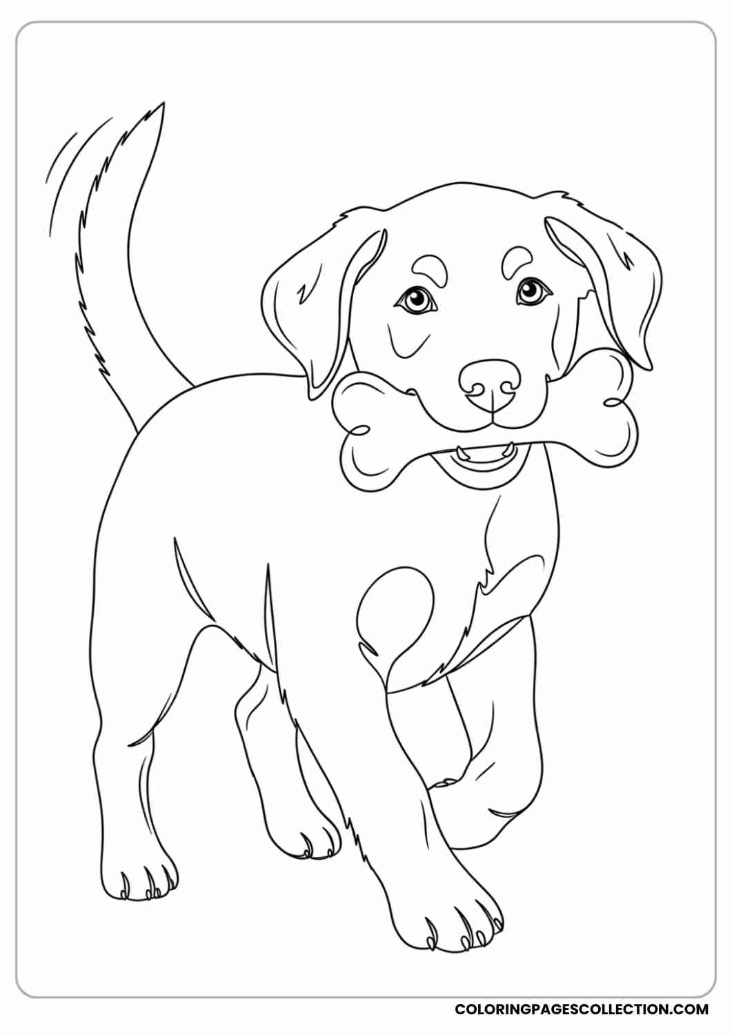 Playful puppy with a bone in its mouth and a wagging tail, thin stroke