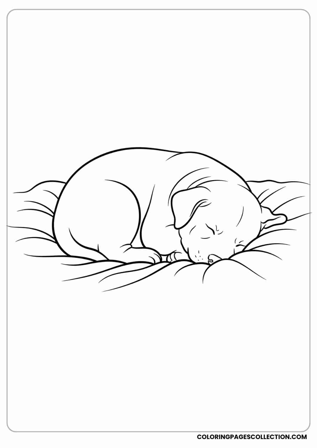 Chubby little puppy curled up sleeping peacefully, with a soft blanket, thin stroke