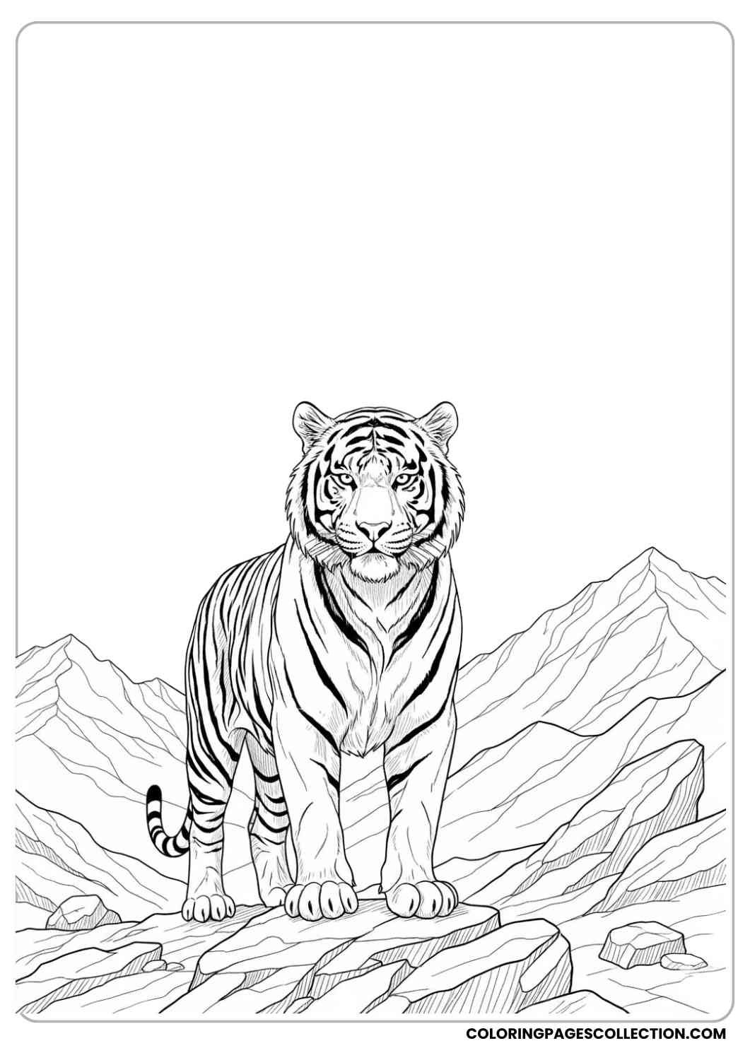 Tiger on Mountain Rocks Coloring Sheet