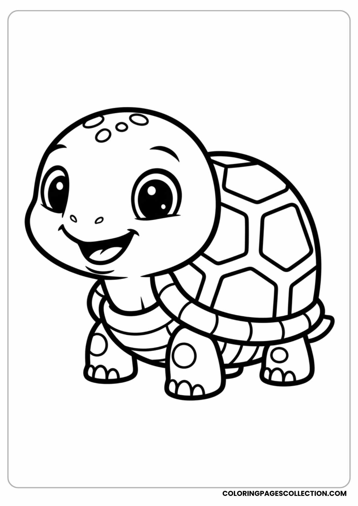 Simple Toddler Turtle Coloring Page